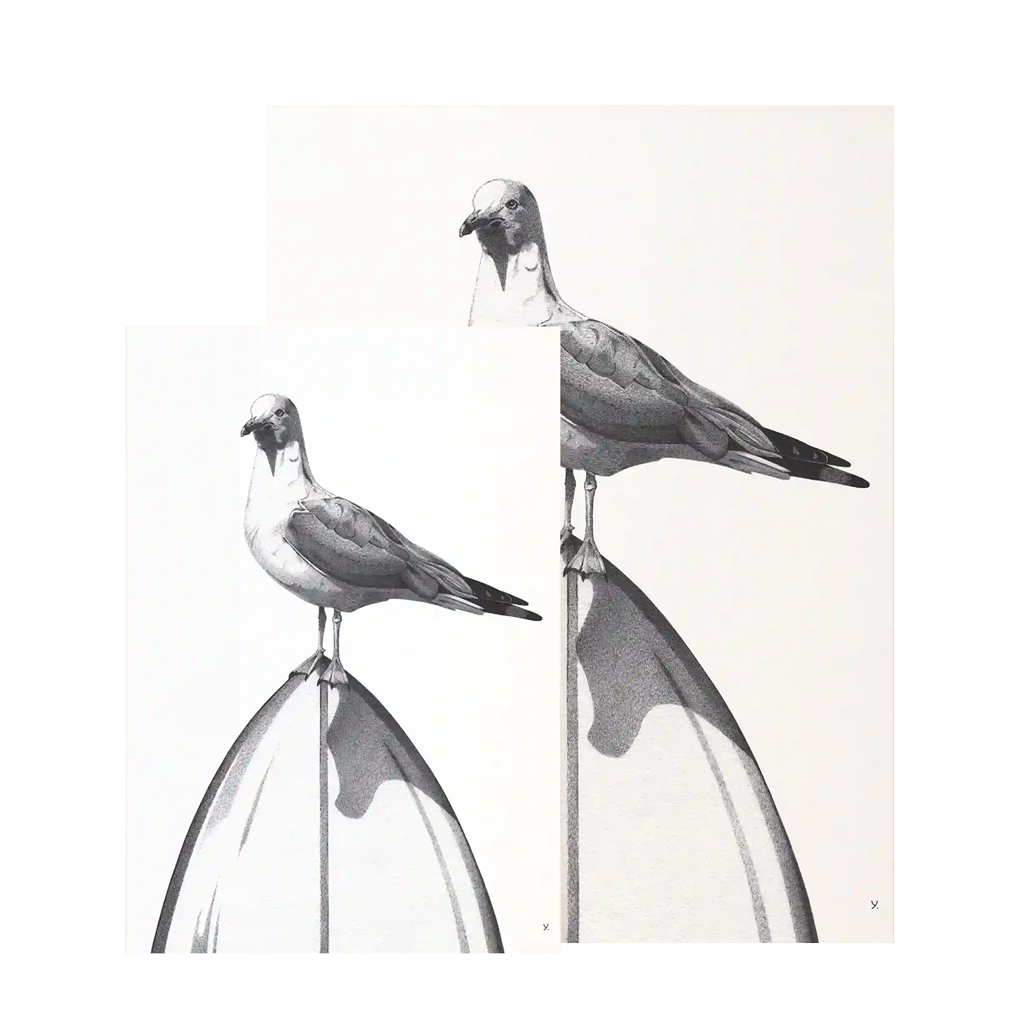 Madame Hubert | Local Only