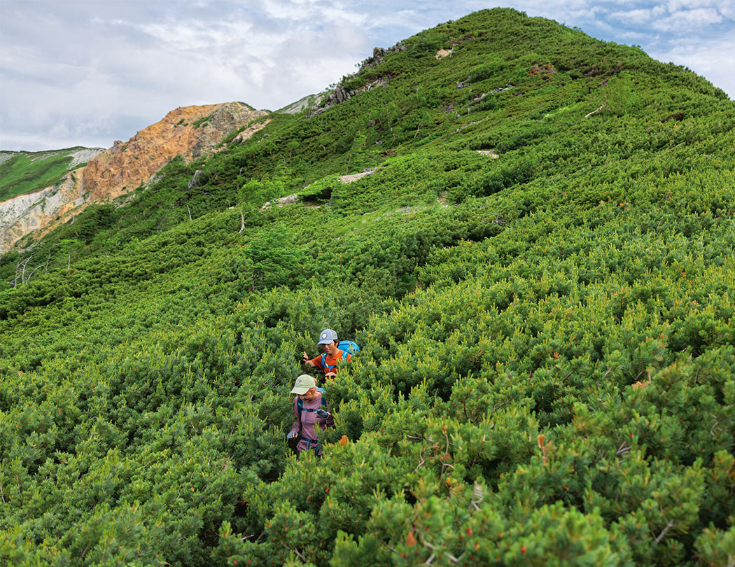 Push Edito M - Patagonia - Accessoires