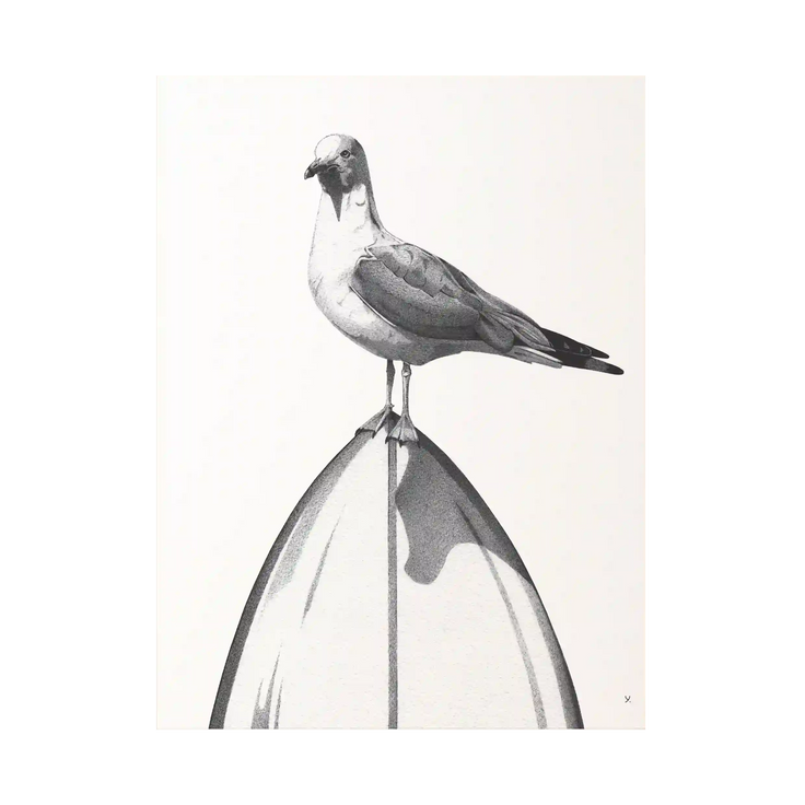 Madame Hubert | Local Only