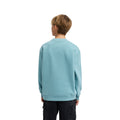 Billabong | Boy Arch Sweatshirt