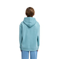 Billabong | Boys Arch Hoodie Sweatshirt