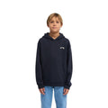 Billabong | Boys Arch Hoodie Sweatshirt