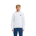 Billabong | Sweat à Capuche Homme Foundation