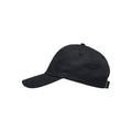 Roxy | Women Dear Believer Logo Cap