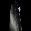 GONG | Factory Surf 9’8 It Moontail Light FSP Pro Surf Custom