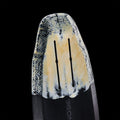 GONG | Factory Surf Foil 4’2 Lemon Light FSP Pro Custom