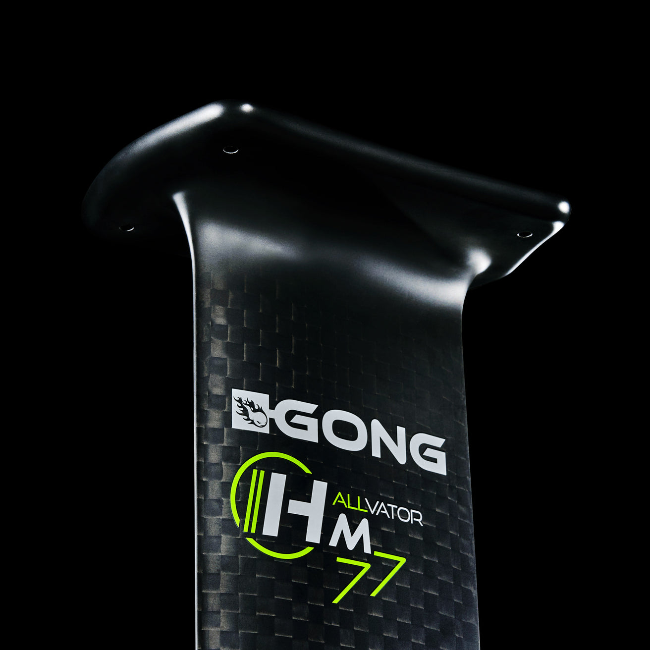 GONG | Foil Carbon Mast HM 77 cm V2