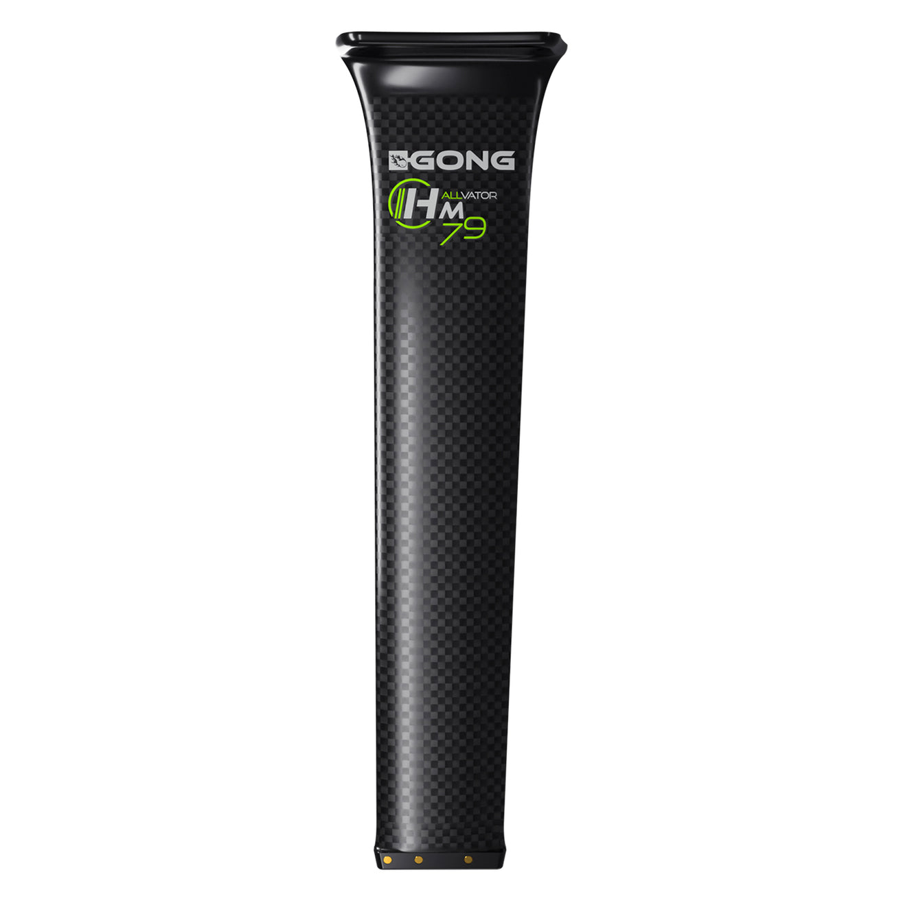 GONG | Foil Carbon Mast HM 79 cm V2