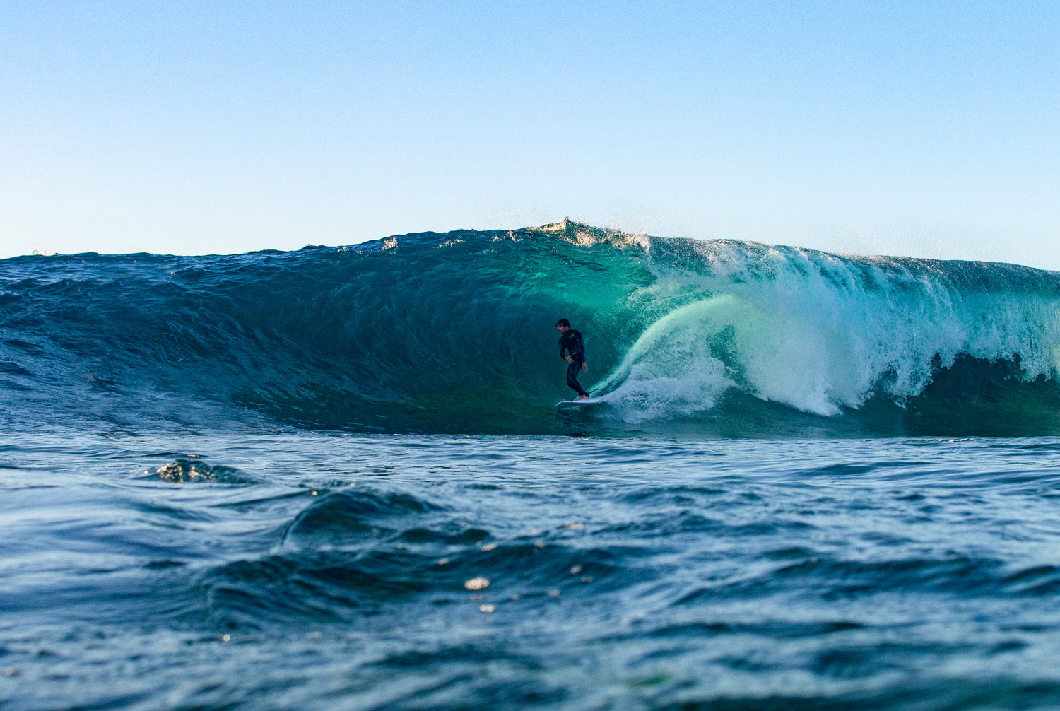 GONG | Surf Carter EPS