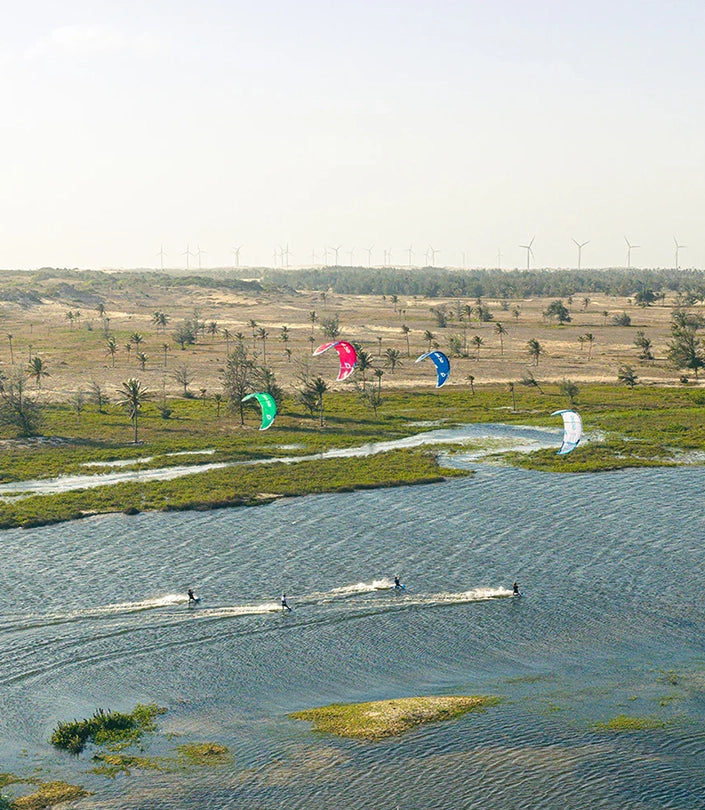 Which kite wings are best for beginners?