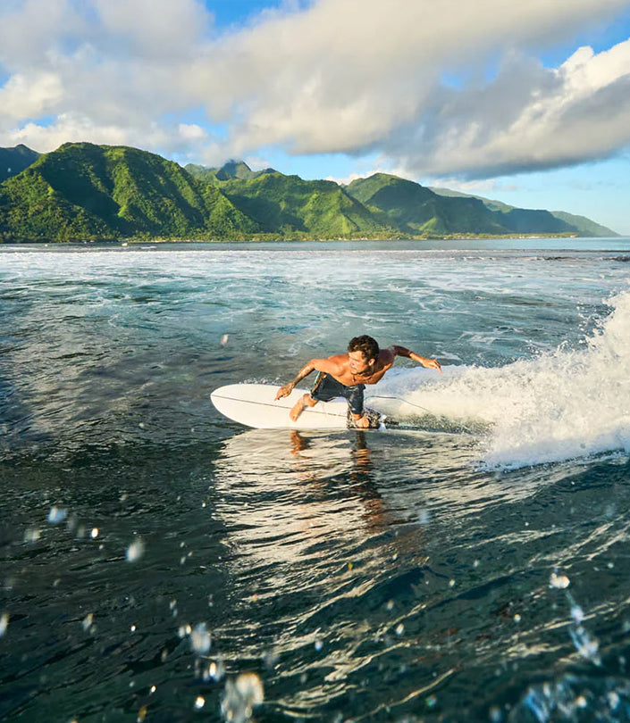 The hybrid shape of the Vibe